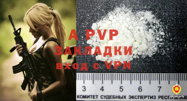ПСИЛОЦИБИНОВЫЕ ГРИБЫ Белоозёрский
