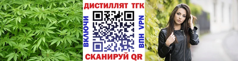 ТГК Wax Сясьстрой
