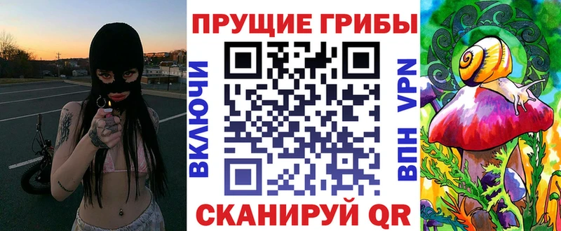 дарк нет телеграм  Сясьстрой  Галлюциногенные грибы Magic Shrooms  цены наркотик 